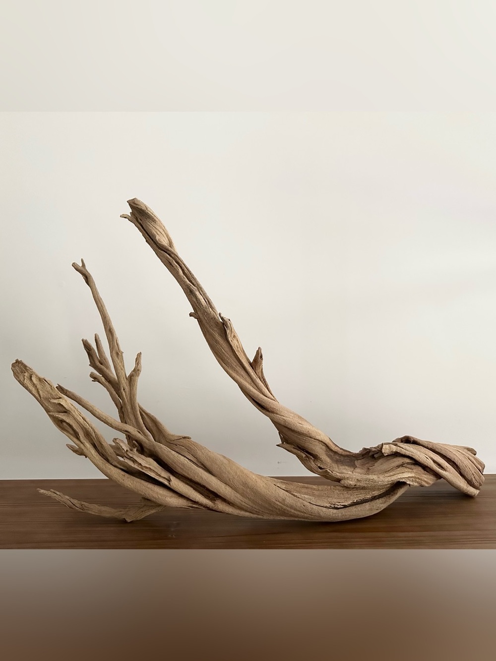 Large Natural Driftwood Branch - Coastal Beach Decor - Picture 17 of 17